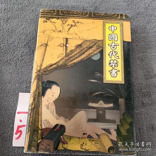 古代禁书在线观看,穿越时空的禁锢与智慧